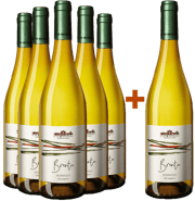 5+1 Brenta Breganze Vespaiolo DOC BIO