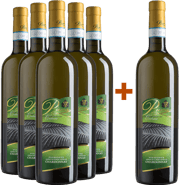 5+1 Chardonnay Piemonte DOC