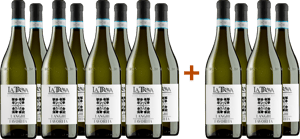 8+4 Langhe Favorita DOC