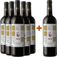 5+1 cuvée "Terroir" Côtes de Bourg AOP BIO