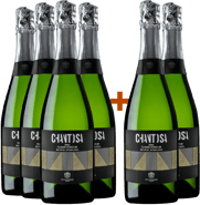 4+2 Chantosa Irpinia Falanghina DOC 