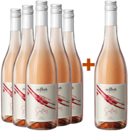 5+1 Sisters Veneto Veneto IGP BIO