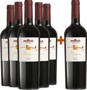 5+1 Masiero Riserva Breganze DOC BIO BIO