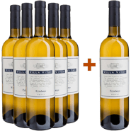 5+1 Friulano Friuli DOC