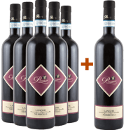 5+1 Nebbiolo Langhe DOC