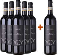5+1 Altaris Nizza DOCG