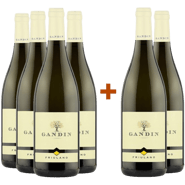 4+2 Friulano Friuli Isonzo DOC