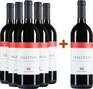 5+1 Vellutato Rosso Piceno Superiore DOC