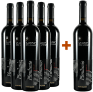 5+1 Plenilunio Lazio IGP BIO