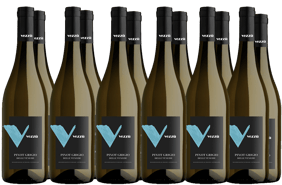 Bertazzo 1840 Box Promozionale Pinot Grigio Veneto IGP