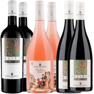 Box Degustazione Borgo Macereto BIO