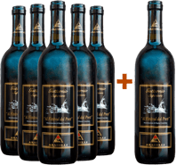 5+1 Riserva Superiore Gutturnio DOC