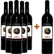 5+1 Kataros Irpinia Aglianico DOC