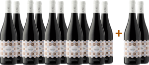 10+2 Maioliche Primitivo Puglia IGP BIO