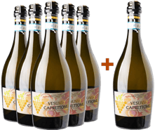 5+1 Vesuvio Caprettone DOC