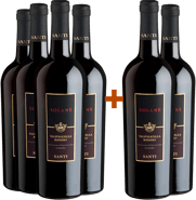 4+2 Solane Superiore Valpolicella Ripasso DOC