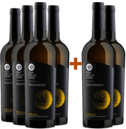 4+2 Sauvignon Friuli DOC