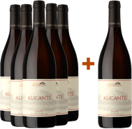 5+1 Alicante Rosato Terre Siciliane IGP