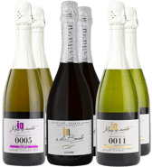 Io Mazzucato Box Degustazione Natale Spumeggiante