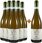 5+1 Le Barbatelle Verdicchio dei Castelli di Jesi DOC 