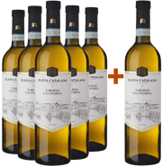 5+1 Falanghina Del Sannio Taburno DOC