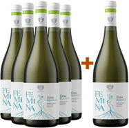5+1 Femina Bianco Etna DOC BIO