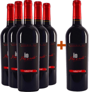 5+1 Cabernet Sauvignon Breganze DOC