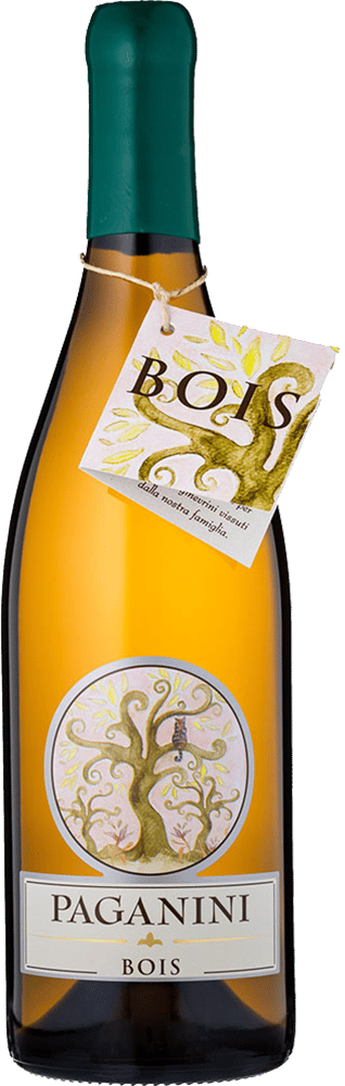 2021 Bois Vino Colli Piacentini DOC BIO