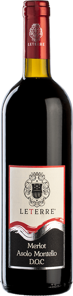 2021 Merlot Asolo Montello DOC