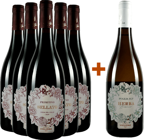 5+1 Primitivo & Verdeca/Chardonnay BIO