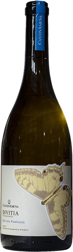 2024 Divitia Lazio IGP BIO