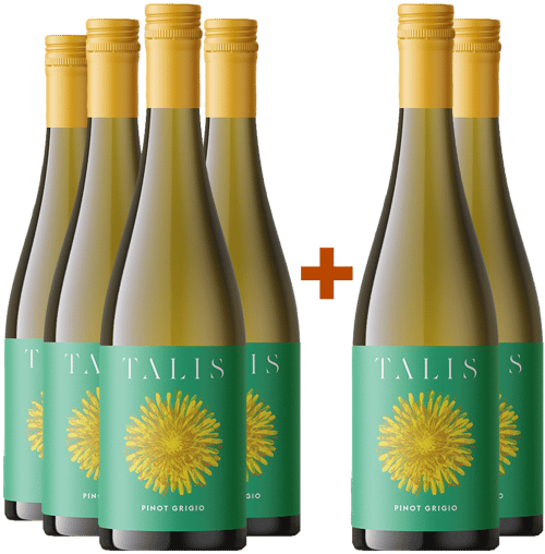 4+2 Talis Pinot Grigio Friuli DOC