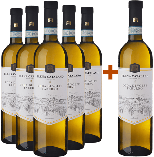 5+1 Coda di Volpe Sannio Taburno DOC