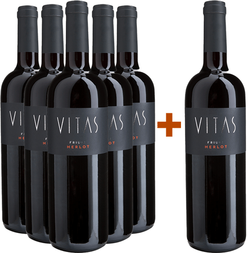 5+1 Merlot Friuli DOC