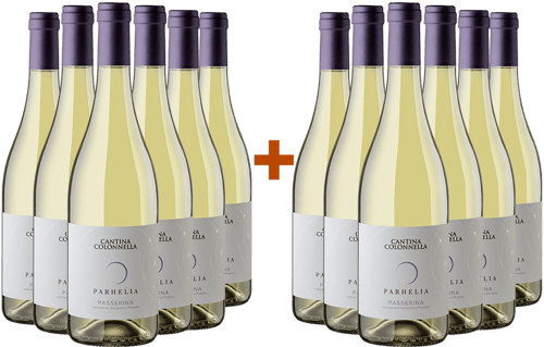 6+6 Parhelia Passerina Terre D'abruzzo IGP