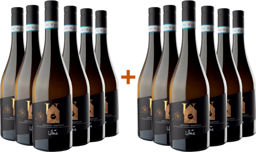 6+6 Pecorino Superiore Abruzzo DOC Bio BIO