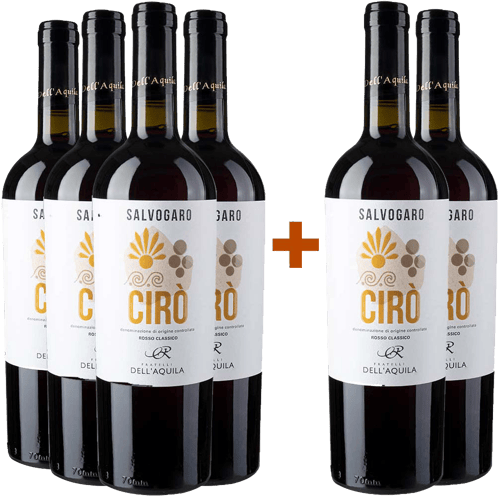 4+2 Salvogaro Cirò Rosso Classico DOC