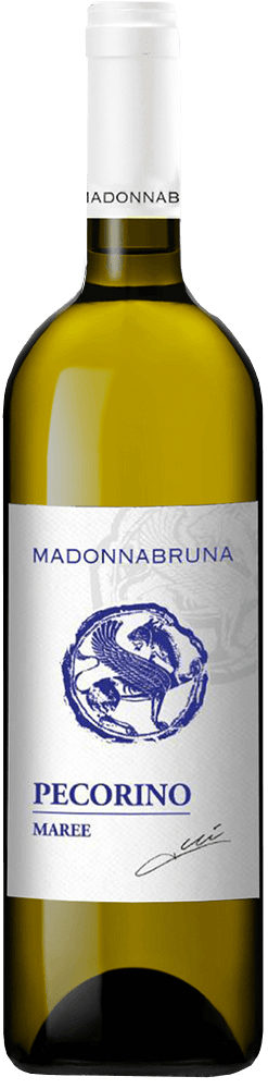 2024 Maree Falerio Pecorino DOC