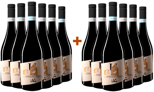 Promo 2020 Montepulciano DOC BIO