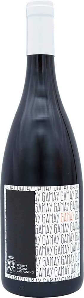 2019 Gamay Umbria IGP BIO