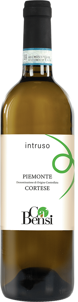 2024 Intruso Cortese Piemonte DOC