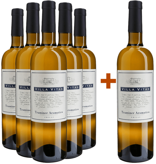 5+1 Traminer Aromatico Friuli DOC