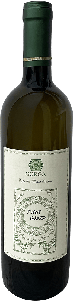 2023 Pinot Grigio Vigneti delle Dolomiti IGP