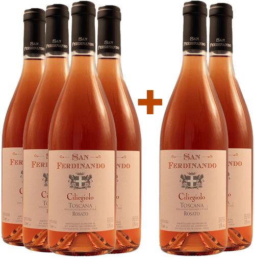 4+2 Rosè Ciliegiolo Toscana IGP