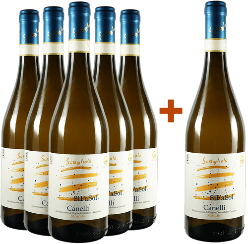 5+1 Canelli DOCG Moscato SiFaSol