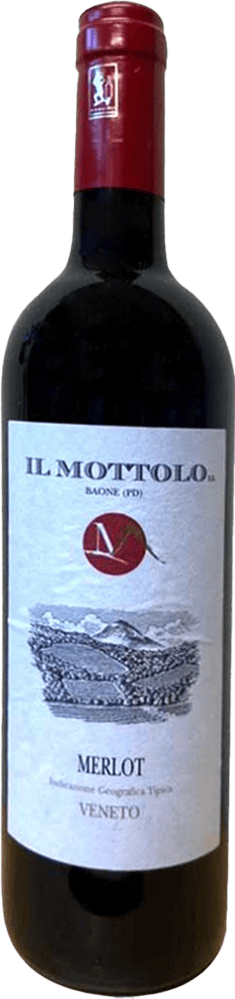 2020 Merlot Veneto IGP