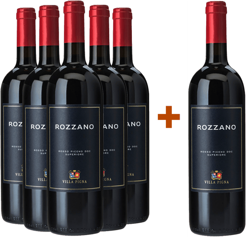 5+1 Rozzano Rosso Piceno Superiore DOC