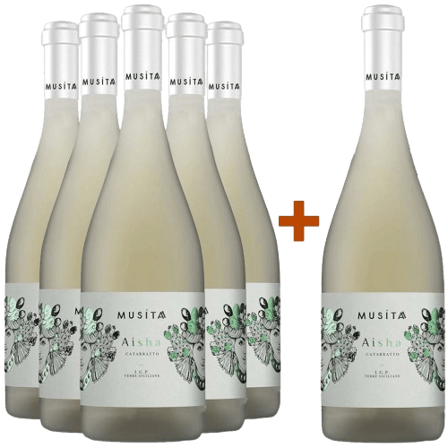 5+1 Aysha Catarratto Terre Siciliane IGP