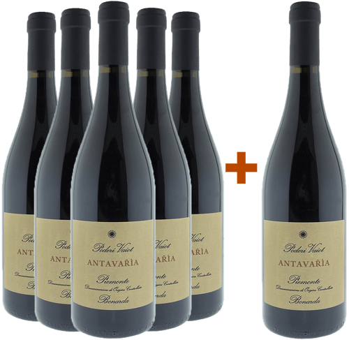 5+1 Bonarda Antavařìa Piemonte DOC