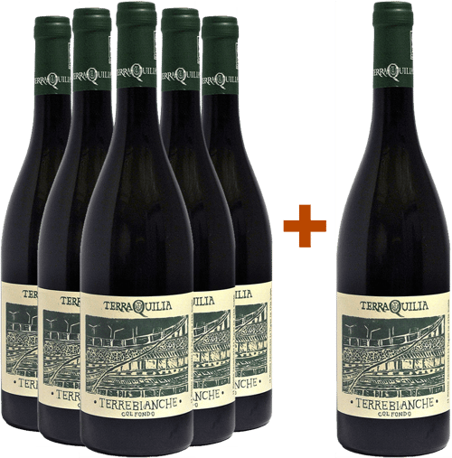 5+1 Terrebianche col fondo Emilia IGP BIO